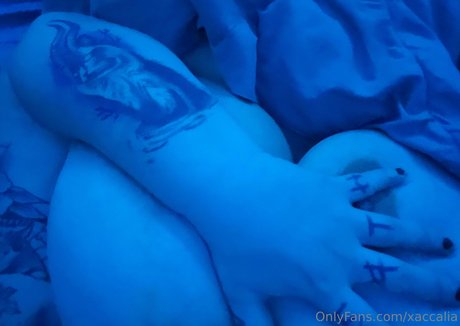 xaccalia sex star pics