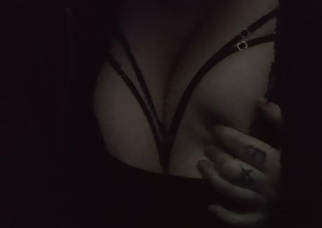 xaccalia high quality star archive