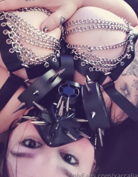 xaccalia xxx model image