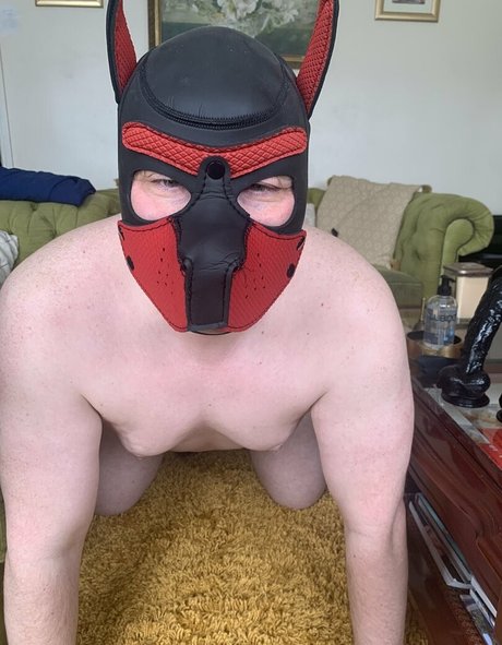 mc joris model hd archive