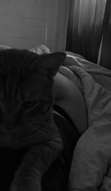 belonly pornstar free img