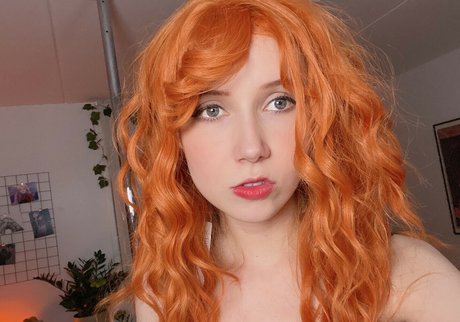 Apollolol top pornstar image