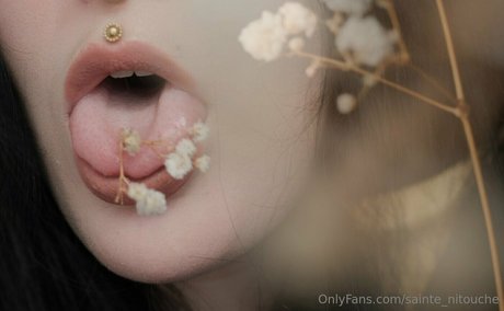 sainte nitouche star exclusive gallery