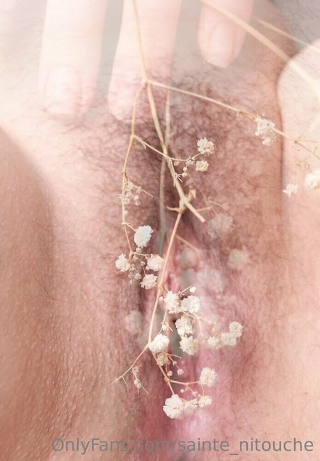 sainte nitouche nudes pornstar image