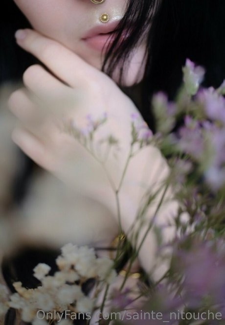 sainte nitouche perfect star picture