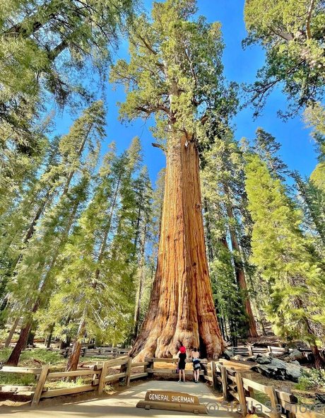 Stellasamore pornstar perfect archive