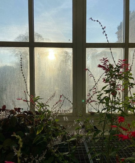 Mydirtyhobby pornstar perfect images