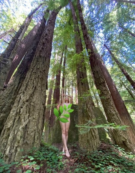 vesperdollfree nice star img