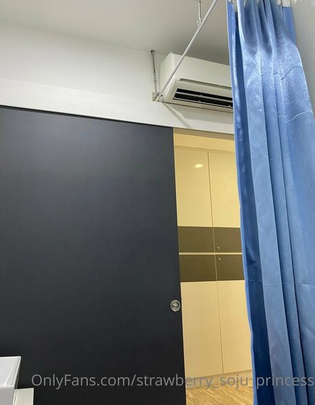 strawberry soju princess nudes actress image