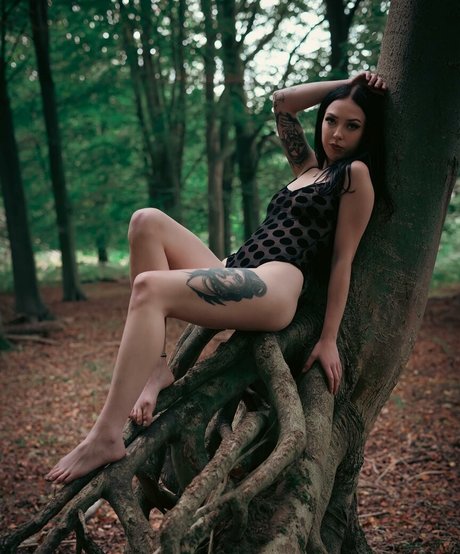 Jensteviexo model nice picture