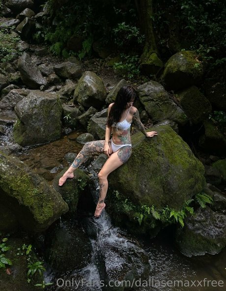 dallasemaxxfree adult star image