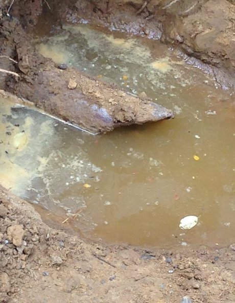 cbadonis sexy actress photos