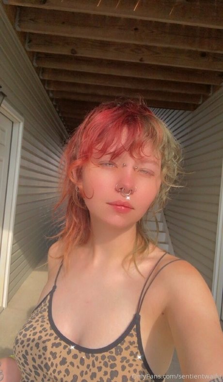 public onlyfans art nude pictures