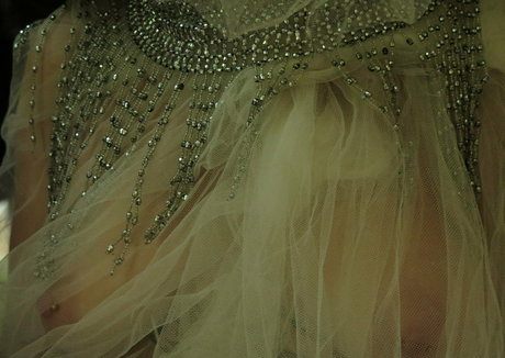 lactescens star free photo