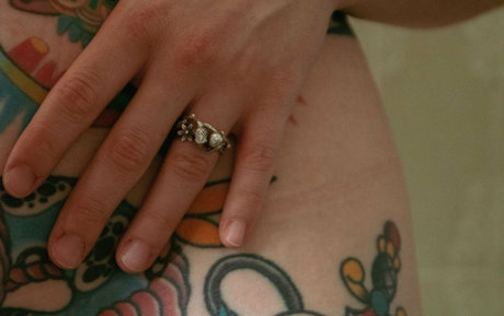 lactescens pretty star photo