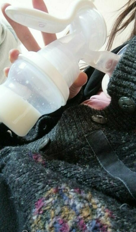 lactescens model perfect pic