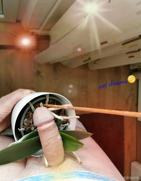 uwetdreams xxx pornstar image