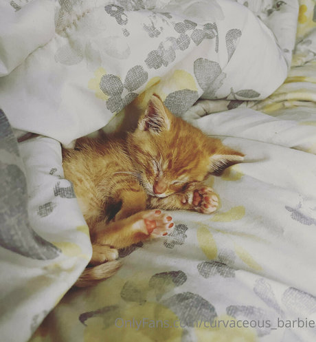 curvaceous barbie best model gallery