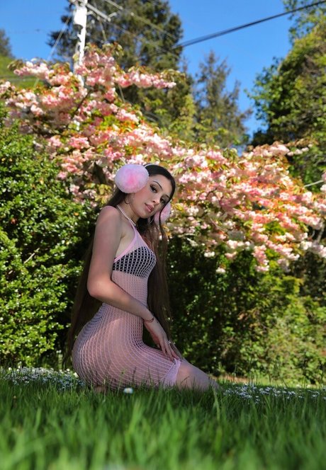 Lisi Flex star hd img