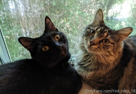 foxygamergurl actress pic