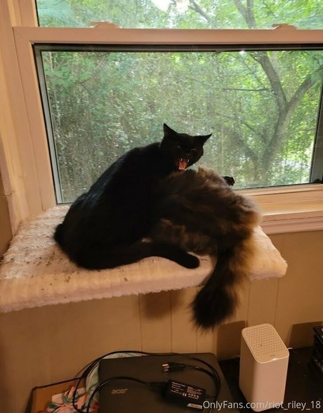 foxygamergurl sex model pics