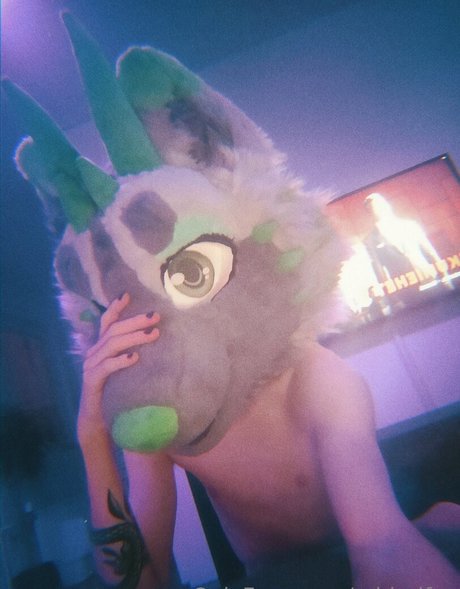 midorifox hd model pictures