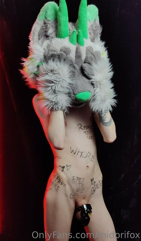 midorifox beautiful actress picture