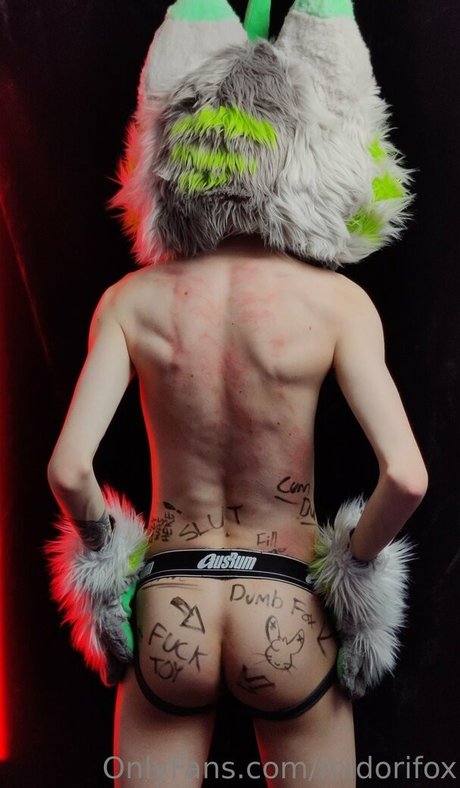 midorifox art model archive