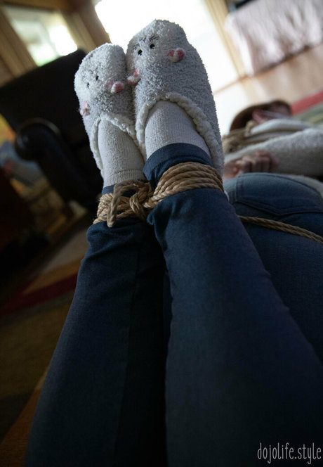 dojolifestyle star hd pictures