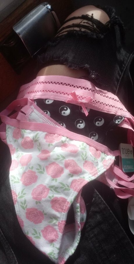 humpday addams sexy star pic