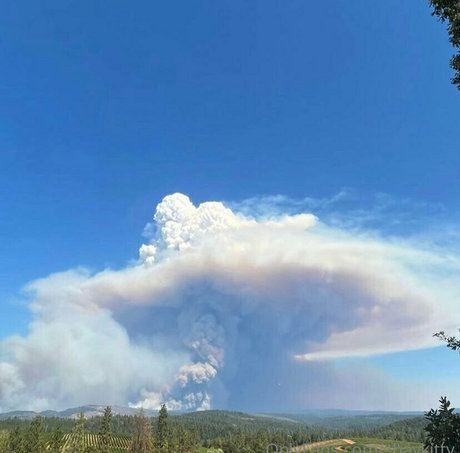 shaykitty star pornographic img