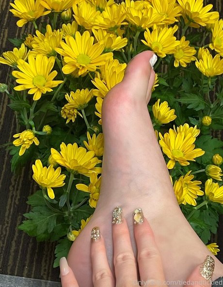 tiedandtickled model free archive