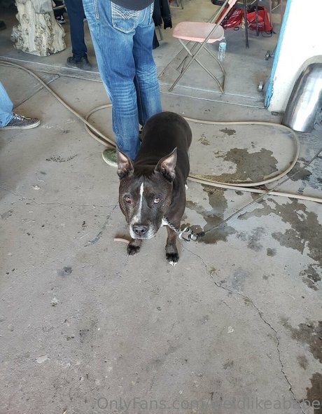 teen asian onlyfans beautiful xxx pic