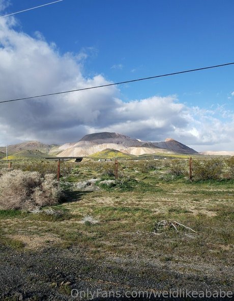 weldlikeababe nice pornstar pics