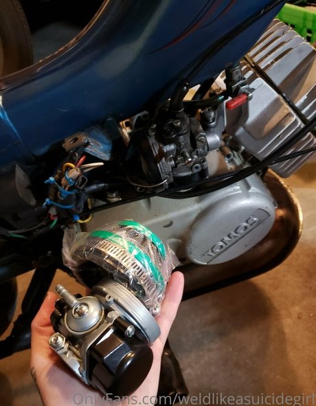 weldlikeababe free pornstar images