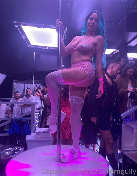 chateau ferngully nice model gallery