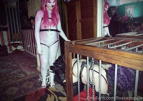 flossiepuppie star top galleries