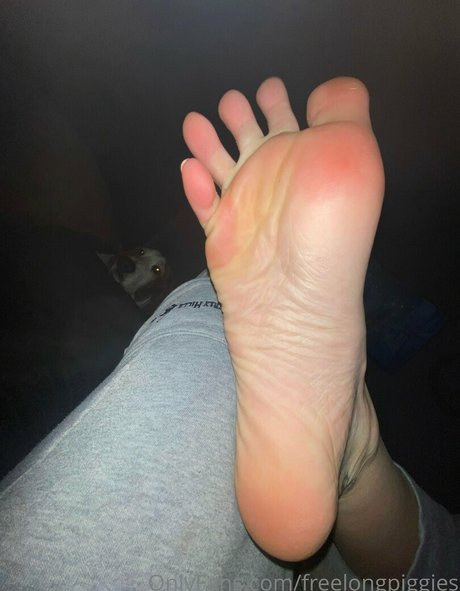 freelongpiggies star sex archive