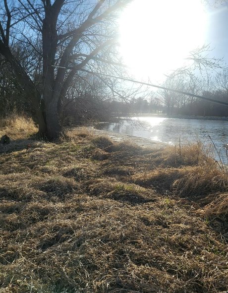 ur succubus gf star perfect pictures