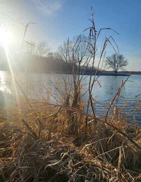 ur succubus gf free actress galleries