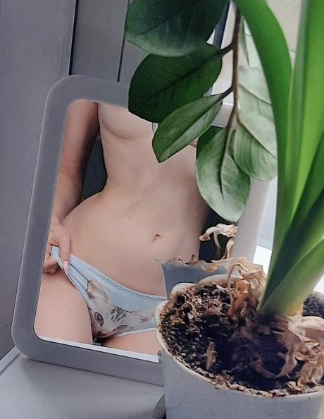 Erodaicon high quality star galleries