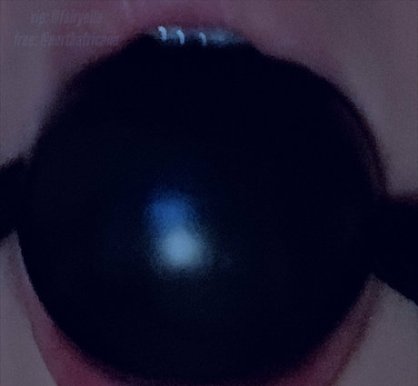 northafricana top star pic