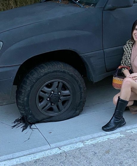 Scout Willis pretty actress gallery