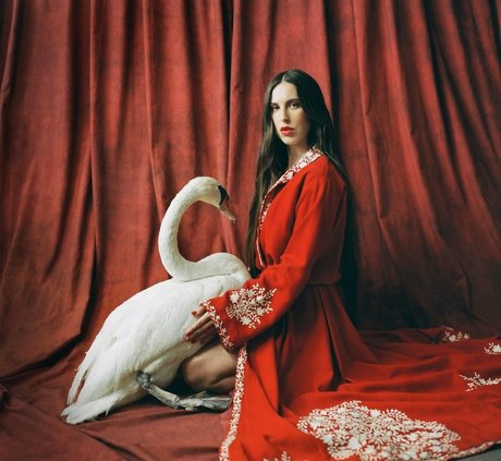 Scout Willis high quality star pics