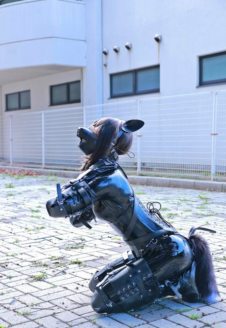 Dlemon porn star image