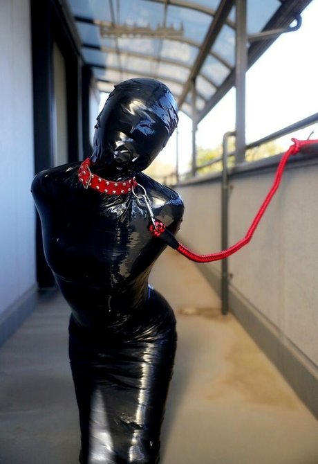 Dlemon high quality star images