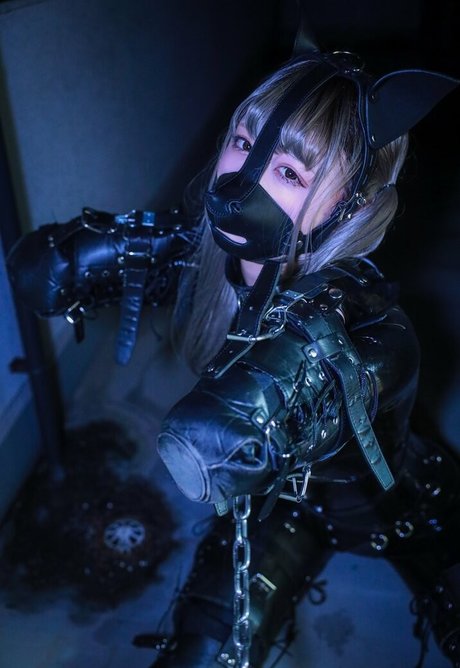 Dlemon star hot images