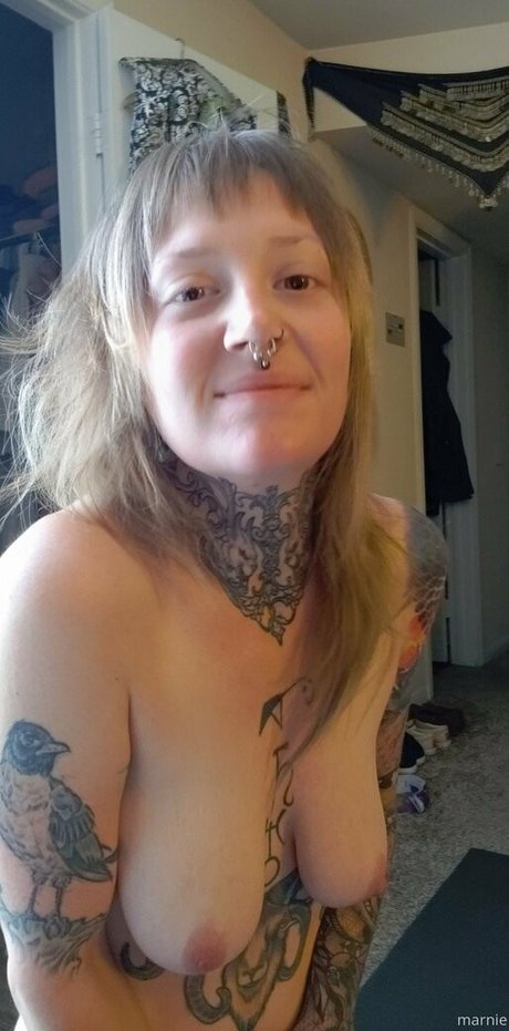 thesavorypie star nice picture