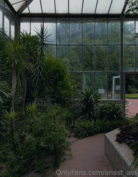 anast ass star erotic image