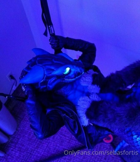 sebasfortis star adult photo